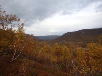 post-4444-0-32322600-1411315545_thumb.jp