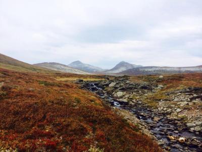 post-4444-0-88754700-1410100875_thumb.jp