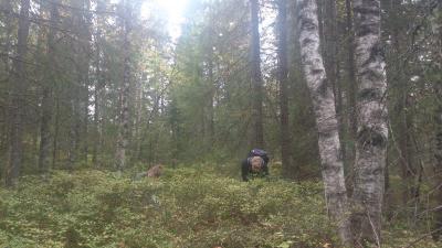 post-6295-0-03145000-1411938921_thumb.jp