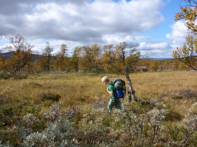 post-6295-0-63398100-1410973134_thumb.jp