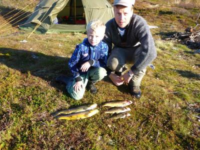 post-6295-0-64397100-1410973448_thumb.jp