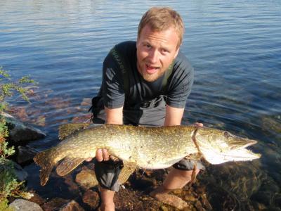 post-6295-0-67701200-1409666888_thumb.jp