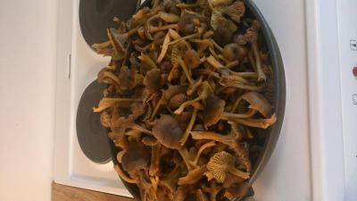 post-6295-0-71792500-1411938928_thumb.jp