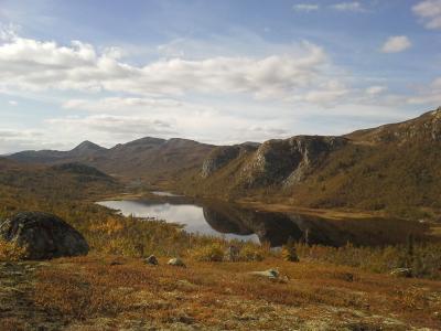 post-6663-0-40800500-1411697903_thumb.jp