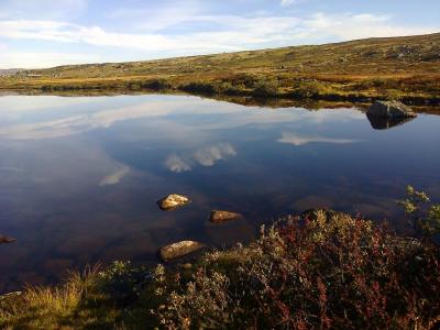 post-6671-0-63622900-1411330521_thumb.jp