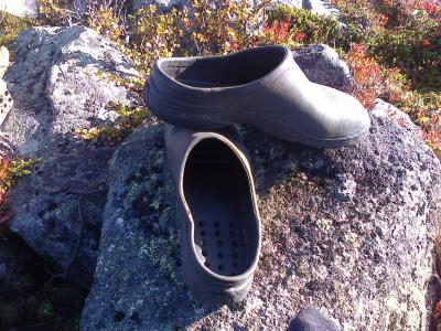 post-6671-0-97161700-1411331504_thumb.jp