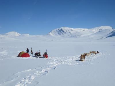 post-7299-0-16381300-1409991797_thumb.jp