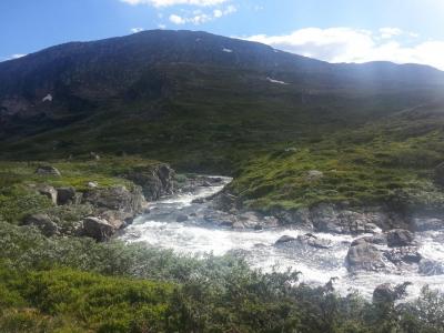 post-8554-0-07566300-1409673571_thumb.jp