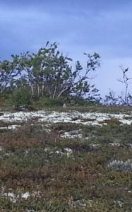 post-8554-0-20463500-1409674679_thumb.jp