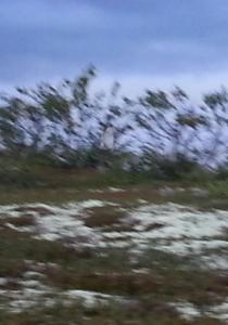 post-8554-0-51004900-1409674700_thumb.jp