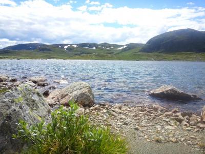 post-8554-0-57027700-1409673634_thumb.jp