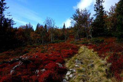 post-9055-0-26870100-1411896780_thumb.jp