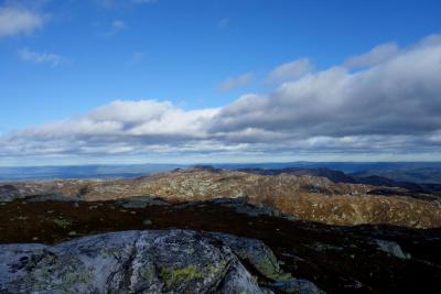 post-9055-0-32878700-1411896862_thumb.jp