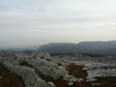 post-9055-0-59960500-1411251939_thumb.jp