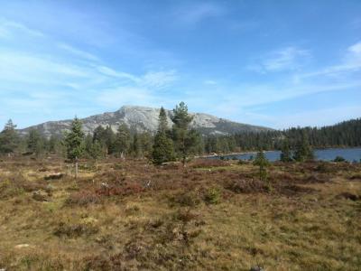 post-9055-0-86196900-1411251933_thumb.jp