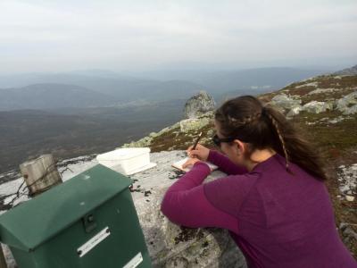 post-9055-0-94648900-1411251936_thumb.jp