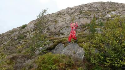 post-10401-0-76015700-1442856906_thumb.j