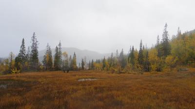 post-10401-0-97567200-1443439535_thumb.j