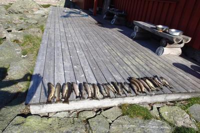 post-1073-0-52112500-1441912227_thumb.jp