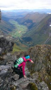 post-10858-0-44576800-1443378357_thumb.j