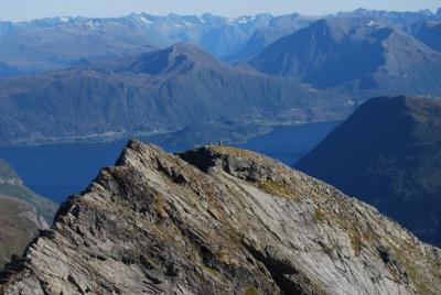 post-10858-0-63039300-1443544515_thumb.j