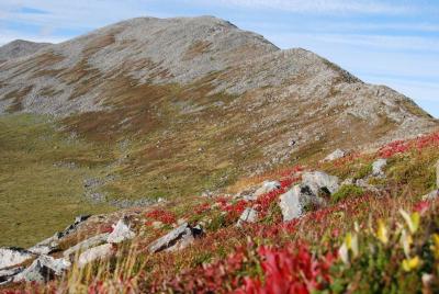 post-10858-0-70756700-1443544696_thumb.j