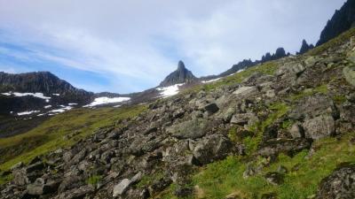 post-10858-0-96623900-1443378375_thumb.j