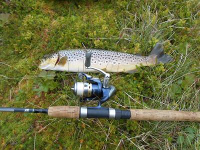 post-11041-0-70902800-1442131608_thumb.j