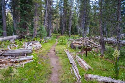 post-13206-0-03793200-1443105305_thumb.j