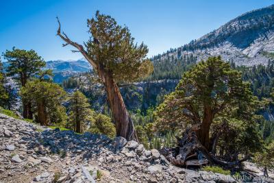 post-13206-0-05201800-1443105098_thumb.j