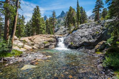 post-13206-0-06870600-1443107267_thumb.j