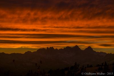 post-13206-0-12802400-1443107716_thumb.j