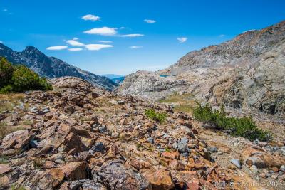 post-13206-0-25644400-1443106906_thumb.j