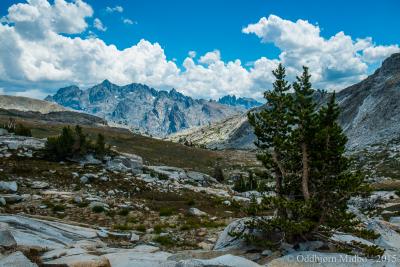 post-13206-0-26235800-1443106470_thumb.j