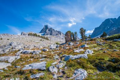 post-13206-0-26897000-1443106910_thumb.j