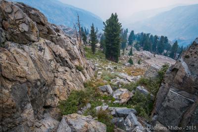 post-13206-0-35539100-1443106471_thumb.j