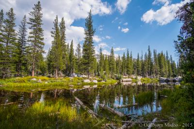 post-13206-0-44956100-1443105306_thumb.j