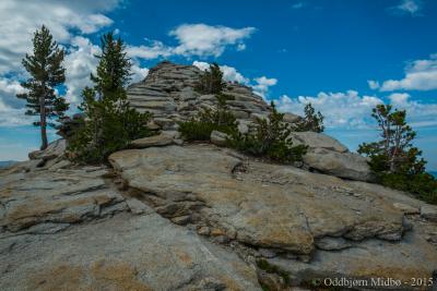 post-13206-0-45441600-1443105823_thumb.j