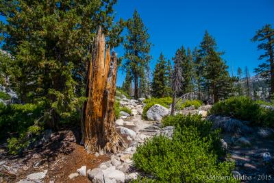 post-13206-0-52997500-1443104821_thumb.j