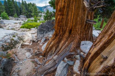 post-13206-0-56228600-1443105826_thumb.j