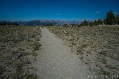 post-13206-0-57032800-1443104934_thumb.j