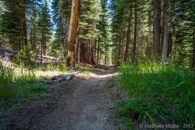 post-13206-0-67256500-1443104933_thumb.j