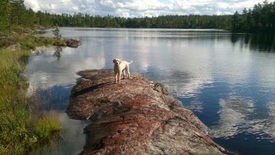 post-14478-0-15925900-1441607123_thumb.j