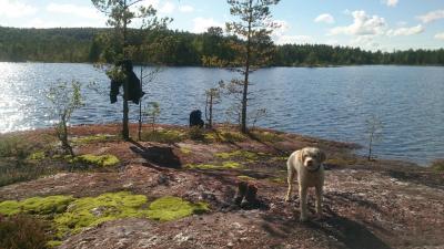 post-14478-0-81195800-1441607178_thumb.j