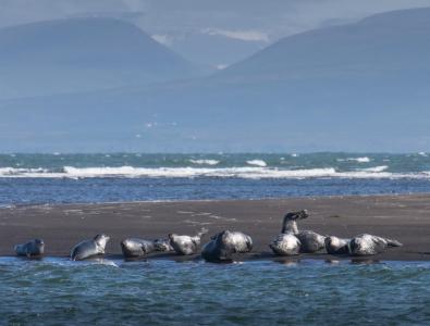 post-14601-0-15830100-1441739005_thumb.j