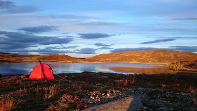 post-15265-0-62678300-1443426165_thumb.j