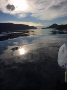 post-15991-0-10122400-1442427819_thumb.j