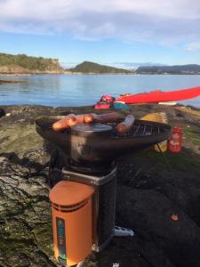 post-15991-0-18190300-1442427936_thumb.j