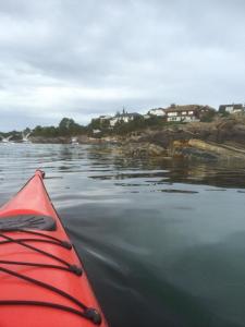 post-15991-0-53234900-1442170547_thumb.j