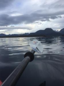 post-15991-0-88485000-1442170590_thumb.j